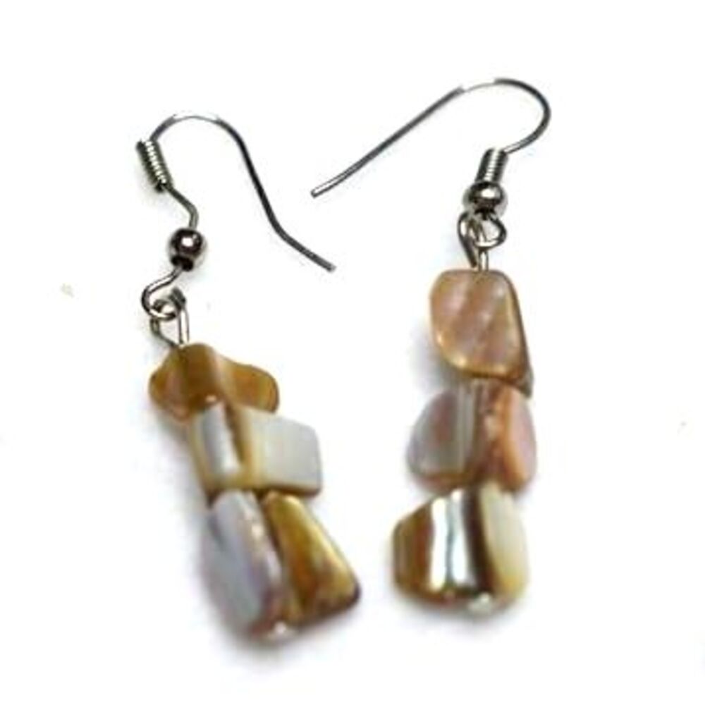 Retro Chic  Stacked Abalone Dangle Silver Tone Fish Hook Casual Earrings